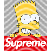 Brand Catalog-ZX 1019